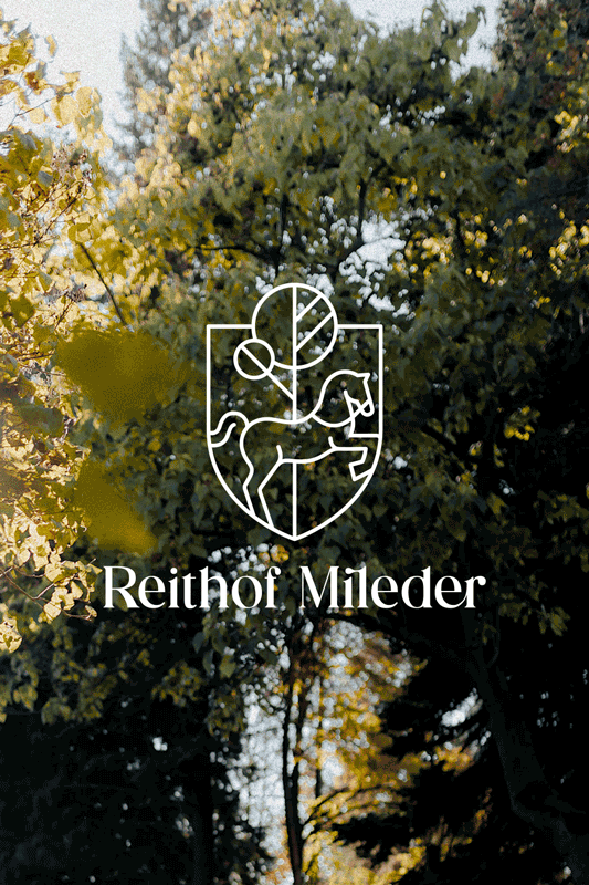 monaonmars-reithofmileder-logo-branding