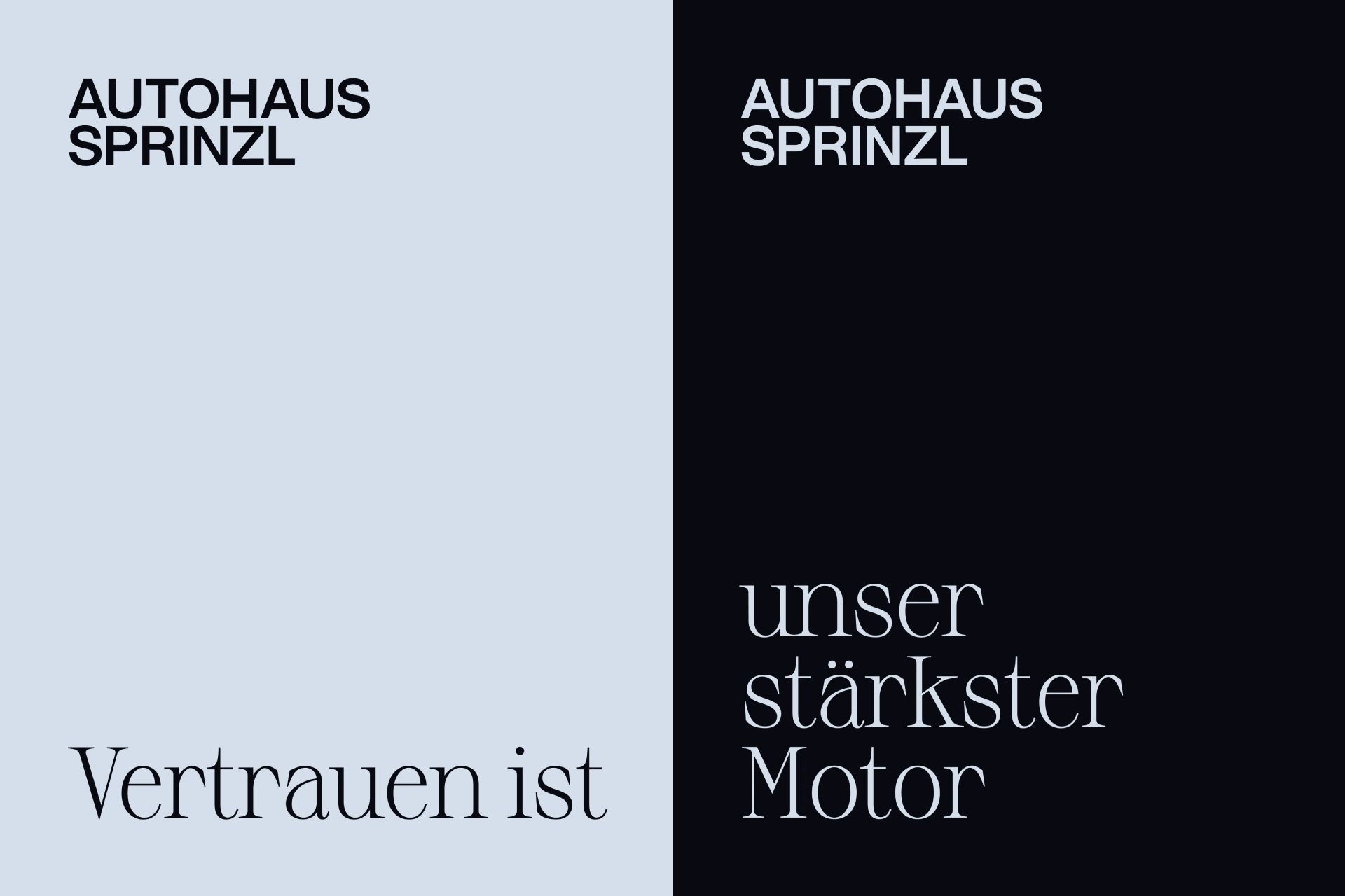 monaonmars-ramonamarsam-branding-autohaussprinzl-1