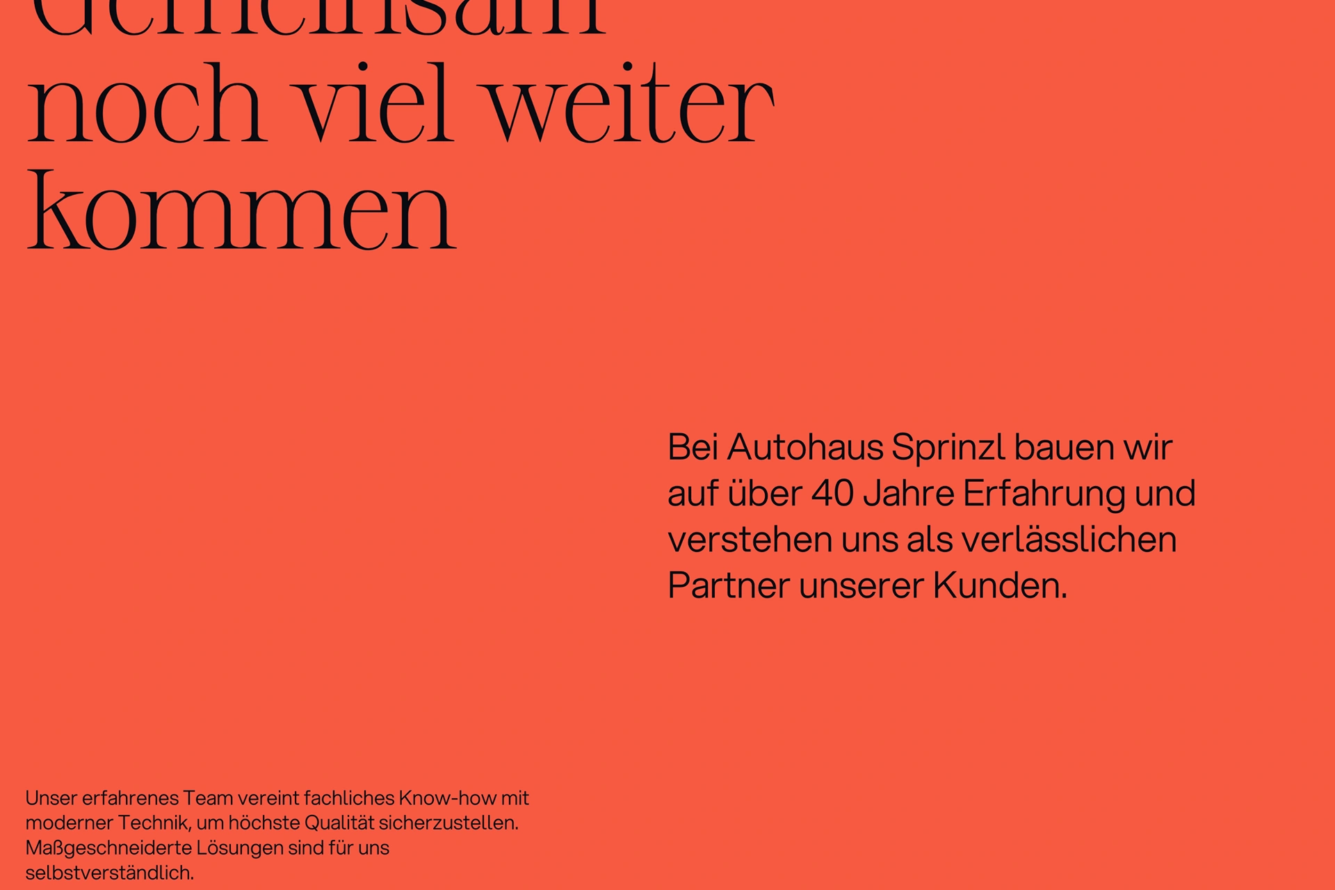 monaonmars-ramonamarsam-branding-autohaussprinzl-3